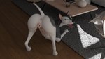 Rating: e
ID: 4784180
Date: 2024-05-15 03:40:18 -0400
Status: active
Score: 225
16:9 3d_(artwork) 4k absurd_res anatomically_correct anatomically_correct_genitalia anatomically_correct_pussy animal_genitalia animal_pussy anus ass_up black_nose blender_(artwork) butt canid canine canine_genitalia canine_pussy canis digital_media_(artwork) domestic_dog female female_feral feral fur genitals hi_res looking_at_viewer looking_back mammal monotone_anus nude pink_anus pink_pussy presenting presenting_hindquarters pussy quadruped raised_tail realistic_feral solo syaru3d tail tail_anus white_body white_fur widescreen post #4784180