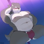 1:1 anthro belly blush bulge canid canine canis clothing dancing domestic_dog facial_scar fur grey_body grey_fur hair hi_res kuraistars lifewonders male mammal musclegut muscular navel nipples pecs pole pole_dancing ponytail scar shino_(tas) solo stripper stripper_pole thong tokyo_afterschool_summoners underwear