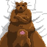 1:1 animal_genitalia animal_penis anthro balls bear bed big_balls big_sheath brown_body brown_fur crossed_arms digital_media_(artwork) fur furniture genitals greennitro male mammal on_bed penis penis_tip pixel_(artwork) sheath slightly_chubby solo