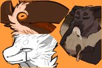 0ct0m0n0 ambiguous_gender anthro anthro_on_anthro avian beak brown_beak brown_body brown_fur cheek_tuft cutaway duo eyes_closed facial_tuft felid fur head_tuft hi_res horizontal_pupils kissing male male/male mammal multiple_images neck_tuft open_mouth orange_background orange_eyes pupils simple_background species_request tan_body tan_fur tuft