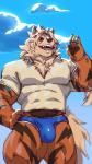 2018 5_fingers anthro anthrofied arcanine blue_clothing blue_speedo blue_swimwear bulge canid canine clothed clothing cloud ear_piercing fan_character fingers generation_1_pokemon hand_on_hip laarx male mammal muscular muscular_anthro muscular_male nintendo open_mouth orange_body pecs piercing pokemon pokemon_(species) pokemorph polo_shirt shirt sky smile solo speedo striped_body stripes swimwear taoren topwear