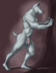 2017 5_fingers 5_toes anthro balls black_claws black_nose blue_eyes canid canine canis claws digital_drawing_(artwork) digital_media_(artwork) domestic_dog feet finger_claws fingers flaccid fur genitals hands_on_wall humanoid_feet humanoid_genitalia humanoid_penis looking_at_viewer male mammal muscular muscular_anthro muscular_male navel nude penis pink_penis plantigrade pose sampsonwoof shaded signature simple_background solo standing story story_in_description tail toe_claws toes whisker_spots white_body white_fur