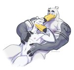 anthro avian ayden_(brogulls) bailey_(brogulls) biceps bird brogulls brother_(lore) brothers_(lore) conditional_dnp cuddling deltoids duo gull hand_on_chest hi_res incest_(lore) lari larid male male/male muscular muscular_male nipples nude one_eye_closed pecs sibling_(lore) simple_background tattoo tofudumps triceps watermark white_background wink