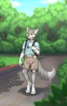 2024 absurd_res anthro backpack bottomwear brown_eyes canid canine canis clothing collar darksidefighter diaper digitigrade dipstick_tail fennec_fox fox fur gloves_(marking) grey_body grey_fur hi_res hybrid leg_markings male mammal markings nintendo outside pacifier pokemon pokewalker shirt shorts socks_(marking) solo t-shirt tail tail_markings topwear true_fox wolf xorowolf