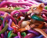 Rating: e
ID: 5538590
Date: 2025-04-29 22:09:06 -0400
Status: active
Score: 27
3_toes 3d_(artwork) anal anal_penetration anal_prolapse animal_genitalia animal_penis anthro anus balls bdsm bondage bound digital_media_(artwork) disney duke_weaselton erection feet feral fur genitals half-closed_eyes hi_res lying male male_penetrated mammal multiple_anal multiple_penetration mustelid musteline narrowed_eyes nude on_back open_mouth parasite pawpads penetration penis prolapse prolapse_penetration restrained scimunk sex spread_legs spreading stretched_anus teeth toes true_musteline weasel worm zootopia post #5538590