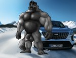 anthro autofurrart balls beard big_penis cadillac car cold facial_hair fluffy fur genitals green_eyes grey_body grey_fur hair_chest hi_res humanoid_genitalia humanoid_penis male mammal motor_vehicle mountain muscular mustache norway nude pecs penis procyonid raccoon snow solo sunny vehicle zubr