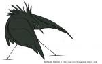 2014 ambiguous_gender artist_name avian back_tuft beak biped bird black_beak black_body black_face black_feathers black_heron black_text black_tuft black_wings dark_body dark_face dark_feathers dark_text dark_tuft dark_wings digital_drawing_(artwork) digital_media_(artwork) egretta feather_tuft feathered_wings feathers feral flat_colors frown heron hunched_over intense jamminbison leaning leaning_forward monotone_beak monotone_body monotone_face monotone_feathers monotone_wings narrow_beak narrow_legs partially_submerged pelecaniform pointy_beak pose simple_background solo spread_legs spreading standing stare text toony tuft url white_background wide_stance winged_arms wings year