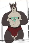 Rating: e
ID: 3410131
Date: 2022-06-25 00:42:50 -0400
Status: active
Score: 145
5_fingers anthro biceps big_bulge biped black_body black_ears black_eyebrows black_eyes black_fur black_nipples black_nose blush briefs bulge canid canine canis claws clothed clothing countershade_arms countershade_face countershade_legs countershade_torso countershading detailed_bulge domestic_dog doorway eyebrows finger_claws fingers front_view fur genital_outline gloves_(marking) grey_body grey_countershading grey_fur grey_hair hair handheld_console holding_object inside k0suna kneeling looking_at_viewer male male_anthro mammal markings multicolored_body multicolored_fur muscular muscular_anthro muscular_male navel nipples on_one_knee one_eye_closed pecs penis_outline red_briefs red_clothing red_underwear smile solo thick_thighs topless two_tone_body two_tone_fur underwear whisker_spots white_claws window wink post #3410131