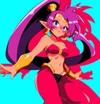 b1iz4rd blue_eyes breasts cleavage clothed clothing ear_piercing ear_ring female genie hair hi_res humanoid humanoid_pointy_ears long_hair looking_at_viewer not_furry piercing ponytail purple_hair ring_piercing shantae shantae_(series) simple_background smile solo wayforward