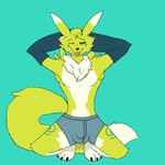 1:1 anthro bandai_namco bulge canid chelfoxart clothing detailed_bulge digimon digimon_(species) fur gloves green_eyes handwear hi_res koda_the_renamon male mammal pose renamon solo winteranimosus yellow_body yellow_fur