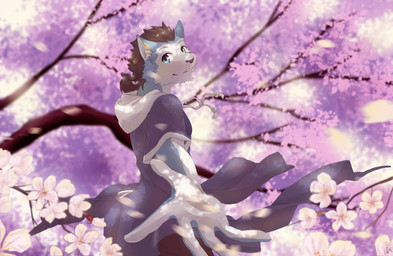 Rating: s
ID: 3999854
Date: 2023-04-18 11:06:58 -0400
Status: active
Score: 6
2017 5_fingers anthro black_hair blue_body blue_eyes blue_fur cherry_blossom cherry_blossom_tree cherry_tree clothing countershading drawstring ear_clip fingers flower fruit_tree fur hair hi_res hoodie male multicolored_body multicolored_fur plant ponytail prunus_(flower) reaching_towards_viewer rou_kemonone solo topwear tree two_tone_body two_tone_fur utau weng-yu_2010 post #3999854