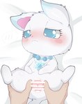 ambiguous_gender arctic_fox blue_body blue_eyes blue_fur blush canid canine censor_bar censored disembodied_hand duo embarrassed faceless_character faceless_human female female_on_human feral first_person_view fox fur genitals hi_res himimi human human_pov jewelpet jewelry larimar_(jewelpet) looking_away mammal necklace pov_hands pussy sanrio sega sega_fave semi-anthro snowflake solo_focus spread_pussy spreading true_fox white_body white_fur