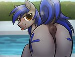 4:3 absurd_res aerial_ace anus blush cutie_mark dock_(anatomy) equid equine equine_anus fan_character feral hasbro hi_res horse lidded_eyes looking_at_viewer looking_back male mammal my_little_pony pony pool puffy_anus raised_tail selenophile solo tail tail_anus tongue