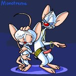 Rating: e
ID: 4679833
Date: 2024-03-25 19:46:43 -0400
Status: active
Score: 11
1:1 belt belt_buckle big_ears big_head bling blue_eyes blush bodily_fluids bracelet brainsister buckle buckteeth covering covering_crotch digital_media_(artwork) duo erection femboy genitals gesture gold_(metal) hand_gesture hand_on_head house_mouse humanoid_genitalia humanoid_penis jewelry looking_at_another low_res male male/male mammal mouse murid murine necklace nervous nude pendant penis pimp pimpin_aint_easy pinky_(warner_brothers) pinky_and_the_brain questionable_consent red_nose rodent scared signature simple_background smile sweat tail_wrapped_around teeth the_brain warner_brothers post #4679833