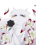 Rating: s
ID: 4756371
Date: 2024-05-02 02:15:51 -0400
Status: active
Score: 8
anthro black_rose blood blue_pupils bodily_fluids brian_(neko_no_teach-kun) domestic_cat earless felid feline felis female flower fur hi_res mammal mochi_1110 neko_no_teach-kun oyasaioni9 plant pupils rose_(flower) scottish_fold solo whiskers white_body white_fur yellow_sclera post #4756371