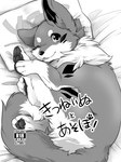 2017 ambiguous_gender bed blep canid canine canis comic cover cover_art cover_page digital_media_(artwork) dipstick_tail domestic_dog female_(lore) feral fluffy fluffy_ears fluffy_tail furniture greyscale holding_leg japanese_text kitsuneinu looking_at_viewer lying mammal markings monochrome mouth_closed on_bed on_side one_eye_closed partially_translated pawpads quadruped solo tail tail_markings text tongue tongue_out translation_request tsukune_minaga wink winking_at_viewer