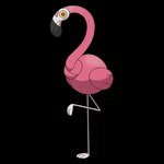 1:1 2022 alpha_channel ambiguous_gender beak black_beak black_eyes border curved_beak digital_drawing_(artwork) digital_media_(artwork) feathers feral flamigo generation_9_pokemon long_beak long_neck nintendo official_art one_leg_up pink_body pink_feathers pokemon pokemon_(species) raised_leg solo thin_calves thin_legs thin_thighs transparent_border unknown_artist white_body yellow_sclera