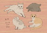 amayakasuneko ambiguous_gender domestic_cat english_text eyes_closed felid feline felis feral folded_ears hi_res mammal mojacookie nagameruneko official_art realistic_feral shikaruneko shikaruneko_(series) text whiskers