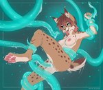 ahegao ambiguous_fluids anthro aspen_(crenchaw_wolf) bent_legs blue_eyes bodily_fluids breasts brown_body brown_fur crossgender cum domestic_cat ear_tuft felid feline felis female fur genital_fluids genitals green_background hair hair_over_eye hi_res inner_ear_fluff leg_grab looking_pleasured lynx mammal markings multicolored_body multicolored_fur nub_tail nude pantherine pawpads penetration pussy raised_leg sex silianor simple_background small_breasts solo spots spotted_body spotted_fur spotted_markings spread_legs spreading striped_body striped_fur striped_markings striped_tail stripes suspended_in_midair tail tail_markings tentacle_in_pussy tentacle_penetration tentacle_sex tentacles torso_grab tuft vaginal vaginal_penetration