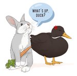 Rating: s
ID: 2849580
Date: 2021-07-27 06:00:16 -0400
Status: active
Score: 77
anatid annoyed anseriform avian bird bugs_bunny carrot cross-popping_vein daffy_duck dialogue duck duo element_drop_shadow english_text feral food holding_carrot holding_food holding_object holding_vegetable iconography kumagorochan lagomorph leporid looney_tunes male mammal plant rabbit realistic simple_background species_in_dialogue speech_bubble speech_bubble_drop_shadow standing text vegetable warner_brothers white_background post #2849580
