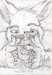 anthro bodily_fluids drooling duo erection eyes_closed felid fingernails forest genitals hi_res holding_partner hufnaar kangaroo licking looking_at_another looking_at_partner macro macropod male male/male mammal marsupial micro nails on_tongue oral pantherine penis plant saliva size_difference sketch solaxe_(artist) tail tiger tongue tongue_out tree