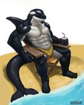 2023 4:5 abs absurd_res anthro beach biceps black_body buckovskiart bulge cetacean chair clothed clothing digital_media_(artwork) fin furniture hi_res male mammal marine muscular muscular_anthro muscular_male muscular_thighs navel nipples pecs quads sand seaside sitting smile solo speedo speedo_only swimwear tail thick_thighs topless water werecetacean werecreature wereorca white_body