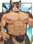 abs anthro beach blush brown_body brown_fur bulge canid canine canis clothing domestic_dog edamrit eyebrows fur hi_res lifewonders live_a_hero male mammal muscular muscular_anthro muscular_male nipples one_eye_closed pecs pubraseer solo speedo swimwear thick_eyebrows wink