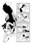 2023 australian_shepherd bovid canid canine canis caprine comic dialogue digital_media_(artwork) domestic_dog female_(lore) feral fur group herding_dog hi_res japanese_text mammal merle_(tsukune_minaga) monochrome multicolored_body multicolored_fur multiple_scenes musical_note musical_symbol pastoral_dog quadruped sheep sheepdog solo speech_bubble symbol text tongue tongue_out translation_check translation_request tsukune_minaga