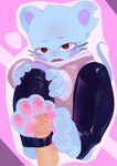 Rating: e
ID: 5351223
Date: 2025-02-04 12:00:55 -0500
Status: active
Score: 128
absurd_res ambiguous_focus ambiguous_gender anthro blue_body blush bodily_fluids buckteeth cheek_spots clothing dripping duo eyebrows falni feet first_person_view foot_fetish foot_play footjob genital_fluids genitals heart_print hi_res human human_pov leggings_pull male male/ambiguous male_pov mammal mouse murid murine narrowed_eyebrows notched_ear open_mouth pawpads penile penis penis_on_feet pink_background pink_clothing pink_pawpads pink_sweater pink_topwear precum precum_drip precum_on_paw purple_eyebrows purple_inner_ear red_eyes rodent sex simple_background solo_focus stirrup_footjob stirrup_legwear sweat sweatdrop sweater tail teeth thin_tail topwear whiskers post #5351223
