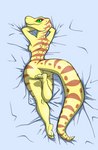 Rating: q
ID: 2688160
Date: 2021-04-08 03:00:01 -0400
Status: active
Score: 33
absurd_res anthro ball_python barefoot breasts butt dakimakura dakimakura_design elsie_adler feet female green_eyes hi_res lying non-mammal_breasts nude on_front penny_prickles plantigrade pupils python python_(genus) reptile resting_on_arms scales scalie side_boob slit_pupils snake soles solo stripes yellow_body yellow_scales post #2688160