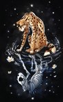 Rating: s
ID: 3778857
Date: 2022-12-29 02:53:37 -0500
Status: active
Score: 22
2022 ambiguous_gender black_nose bone digital_drawing_(artwork) digital_media_(artwork) felid feline feral flashw fur mammal markings reflection serval sitting solo spots spotted_body spotted_fur tan_body tan_fur post #3778857