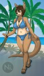 5_fingers animal_ears anthro beach bikini black_nose blue_bikini blue_bikini_bottom blue_bikini_top blue_clothing blue_eyes blue_flip_flops blue_swimwear bracelet breasts brown_body brown_hair bulge clothing ear_piercing feet fingernails fingers flip_flops footwear gynomorph hair herm_(lore) hi_res industrial_piercing intersex jewelry kangaroo logo looking_at_viewer macropod mammal marsupial nails naty naty_(character) navel necklace nipple_outline open_:3 outside palm_tree paws piercing plant sandals shoes solo standing swimwear tail toes tree two-piece_swimsuit watermark