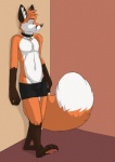 2009 anthro black_clothing black_underwear boxer_briefs canid canine clothed clothing collar digital_media_(artwork) dipstick_tail fox gloves_(marking) jailbird leg_markings male mammal markings orange_fox_(sage) shaded socks_(marking) solo tail tail_markings topless underwear