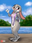 absurd_res anthro arm_tuft beach bikini blush bodily_fluids breasts buckteeth cheek_tuft chest_tuft claws clenched_teeth clothed clothing disney elbow_tuft facial_tuft female fur grey_body hi_res judy_hopps lagomorph leporid link6432 looking_at_viewer mammal multicolored_body multicolored_fur navel nervous_sweat one-piece_swimsuit open_mouth outside purple_eyes rabbit scut_tail seaside short_tail skimpy sling_bikini small_breasts smile solo sweat swimwear tail teeth toe_claws tuft two-piece_swimsuit two_tone_body two_tone_fur zootopia