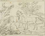 1812 19th_century 5:4 ambiguous_gender ancient_art anus backsack balls charles_paul_landon duo_focus equid equine equine_anus feral genitals group hi_res hooves horse human male mammal mane monochrome plant public_domain quadruped raised_tail tail tail_anus traditional_media_(artwork) tree