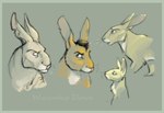Rating: s
ID: 5442542
Date: 2025-03-18 21:52:46 -0400
Status: active
Score: 6
2007 bigwig_(watership_down) black_eyebrows black_eyes black_hair border bust_portrait colored digital_drawing_(artwork) digital_media_(artwork) english_description english_text eyebrows feral fiver_(watership_down) fur furrowed_brow furrowed_eyebrows general_woundwort green_border grey_background group hair hazel_(watership_down) lagomorph leporid light lighting long_ears looking_up lyosha male male_feral mammal mouth_closed multicolored_body multicolored_fur multiple_images notched_ear open_mouth orange_body orange_fur portrait rabbit shaded short_hair side_view simple_background tan_body tan_fur text thin_eyebrows title two_tone_body two_tone_fur watership_down whiskers white_body white_fur post #5442542