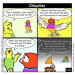 1:1 2024 abba art_of_emm avian bird budgerigar comic dialogue digital_drawing_(artwork) digital_media_(artwork) english_text eyes_closed feather_hands feathers feral george_(art_of_emm) gouldian_finch green_body grey_background looking_at_another loriinae male male_(lore) multicolored_body music parakeet parrot phonograph robin_(art_of_emm) sad scandalous_six simple_background sitting smug speech_bubble spread_wings text true_parrot wings yellow_background