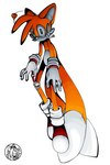 Rating: s
ID: 4445529
Date: 2023-11-30 18:08:43 -0500
Status: active
Score: 25
2007 ambiguous_gender antennae_(anatomy) anthro artist_logo bone canid canine clothing colored creepy creepypasta digital_media_(artwork) doll footwear fox gloves grin handwear horror_(theme) logo mammal multi_tail sega shaded shanella shoes skull smile solo sonic_the_hedgehog_(series) stitch_(sewing) tail tails_doll zipper post #4445529
