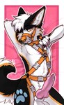 Rating: e
ID: 5571379
Date: 2025-05-14 10:11:38 -0400
Status: active
Score: 120
2025 5_fingers absurd_res animal_genitalia animal_penis anthro arm_tuft ball_tuft balls bdsm bed bed_sheet bedding bedroom_eyes belly blue_eyes bodily_fluids bondage bound breath canid canine canine_genitalia canine_penis canis cheek_markings cheek_tuft chest_markings chest_tuft claws clothed clothing collar colored_nails curled_tail dark_body dark_fur digital_media_(artwork) domestic_dog ear_tuft elbow_tuft erection exposed_belly facial_markings facial_tuft fenneckiro finger_claws fingers fluffy fluffy_(fluffybarks) fluffy_hair fluffy_tail flustered flustered_male fur fur_markings fur_tuft furniture genital_fluids genitals grey_body grey_fur hair harness harness_grab harness_only harness_ring head_markings heterochromia hi_res husky inner_ear_fluff inside knot leaking_precum looking_at_viewer lying lying_on_bed male male_anthro mammal markings mostly_nude mouth_closed multicolored_body multicolored_fur muzzle_(object) muzzled nails narrowed_eyes nordic_sled_dog nude nude_anthro nude_male on_back on_bed orange_body orange_clothing orange_collar orange_fur orange_harness orange_nose panting pawpads paws penis pink_eyes pink_pawpads precum precum_on_penis presenting presenting_penis seductive sheath simple_background smile smiling_at_viewer smirk smirking_at_viewer smug smug_face solo spitz straps tail teasing teasing_viewer teeth teeth_showing tuft tugging_collar white_body white_fur white_hair post #5571379