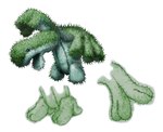 Rating: s
ID: 5111986
Date: 2024-10-13 11:38:01 -0400
Status: active
Score: 8
2024_pokemon_gigaleak 3_fingers ambiguous_gender beady_eyes beta_design beta_pokemon_(species) beta_pokemon_games biped cactus cactus_1_(beta_pokemon) cactus_creature colored concept_art countershading digital_media_(artwork) digital_painting_(artwork) elemental_creature feet feral fingers flora_fauna full-length_portrait green_body green_spikes hi_res model_sheet monster nintendo not_furry official_art open_mouth painting_(artwork) plant pokemon pokemon_ruby_and_sapphire_beta portrait simple_background solo standing thorns three-quarter_view toes unknown_artist white_background white_body white_countershading post #5111986