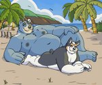 2024 absurd_res anthro beach bear bearinbriefs belly black_body black_fur blue_body blue_fur canid canine canis detailed_background domestic_dog duo fur hand_on_knee hand_on_leg herding_dog hi_res lying_on_ground male mammal moobs nude on_ground overweight overweight_male pastoral_dog sky welsh_corgi white_body white_fur