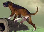 anatomically_correct anatomically_correct_anus anatomically_correct_genitalia anatomically_correct_penis animal_genitalia animal_penis anus backsack balls black_balls black_body black_fur black_nose bodily_fluids brown_body brown_fur butt cane_corso canid canine canine_genitalia canine_penis canis claws cum cum_drip cumshot digitigrade domestic_dog dripping ejaculation erection feral floppy_ears fur genital_fluids genitals grass hi_res hindpaw knot log looking_at_viewer looking_back low-angle_view male mammal markings mastiff molosser multicolored_body multicolored_fur one_leg_up open_mouth outside paws penis perineum plant presenting presenting_hindquarters presenting_penis quadruped raised_leg raised_tail realistic_feral saggy_balls simple_background sketchy_shelby smile solo tail tail_markings teeth toe_claws tongue tongue_out white_body white_fur wood