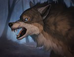 2020 anthro arylena blue_eyes canid canine canis detailed detailed_fur digital_media_(artwork) feral forest fur hi_res male mammal mythological_canine mythological_creature mythology plant rakan snarling solo tree were werecanid werecanine werewolf wolf