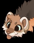 Rating: s
ID: 5455119
Date: 2025-03-25 02:21:37 -0400
Status: active
Score: 52
2025 ambiguous_gender black_background blep brown_body brown_fur brown_inner_ear cheek_tuft cute_fangs digital_drawing_(artwork) digital_media_(artwork) facial_tuft fangs feve fur head_tuft hi_res mammal mustelid musteline simple_background solo stoat teeth tongue tongue_out true_musteline tuft weasel whiskers white_whiskers post #5455119