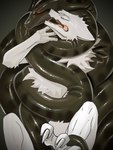 absurd_res anaconda anthro before boa_(snake) boinae ciel coiling duo female female_prey forked_tongue hi_res hybrid male male/female reptile scalie snake softceiling swallowing tail tongue vore