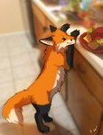 Rating: s
ID: 3614084
Date: 2022-10-08 10:05:02 -0400
Status: active
Score: 51
2022 4_toes ambiguous_gender black_body black_fur black_nose brown_body brown_fur canid canine claws digital_drawing_(artwork) digital_media_(artwork) feet feral flashw fox fur mammal paws red_fox smile solo toes true_fox post #3614084