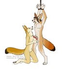 2015 4_toes 5_fingers animal_genitalia animal_penis anthro arms_above_head balls becca_(fennec) biped breast_play breasts brown_eyes canid canine canine_genitalia canine_penis dated dominant dominant_female duo english_text fangs feet female fennec_fox fingers fox full-length_portrait fur genitals kneeling male male/female mammal medium_breasts multicolored_body multicolored_fur nipples nude_female nude_male paradim penis portrait pussy sex signature simple_background submissive submissive_male sueanoi tail teeth text tiptoes titfuck toes true_fox white_background wrists_tied yellow_body yellow_fur