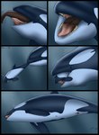 almost_fully_inside ambiguous_feral ambiguous_gender ambiguous_prey animal_genitalia animal_penis base_three_layout blockage_(layout) cetacean cetacean_genitalia cetacean_penis comic commerson's_dolphin dolorcin dolphin edisian feral feral_pred feral_prey five_frame_image fully_inside genital_slit genitals hi_res horizontal_blockage larger_pred licking male male_feral male_pred mammal marine multiple_prey oceanic_dolphin oral_vore orca partially_inside penis penis_tip pinniped seal smaller_prey soft_vore tapering_penis three_row_layout tongue tongue_out toothed_whale underwater vore water