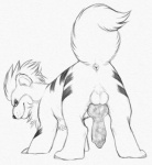 2015 animal_genitalia animal_penis anus backsack balls butt canid canine canine_genitalia canine_penis erection feral generation_1_pokemon genitals graphite_(artwork) growlithe knot looking_at_viewer looking_back male mammal monochrome nintendo penis pokemon pokemon_(species) raised_tail simple_background smile solo tail traditional_media_(artwork) white_background yaroul