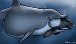 2016 ambiguous_gender ambiguous_pred ambiguous_prey belly big_belly bloated bodily_fluids bottlenose_dolphin bubble cetacean commerson's_dolphin cum cum_in_water dolorcin dolphin duo feet_first feral feral_pred feral_prey genital_fluids larger_ambiguous larger_pred mammal marine oceanic_dolphin open_mouth oral_vore partially_inside signature size_difference smaller_ambiguous smaller_prey soft_vore tongue toothed_whale underwater vore water year